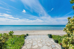 #Maria Villa and Cabin by halu! Villas